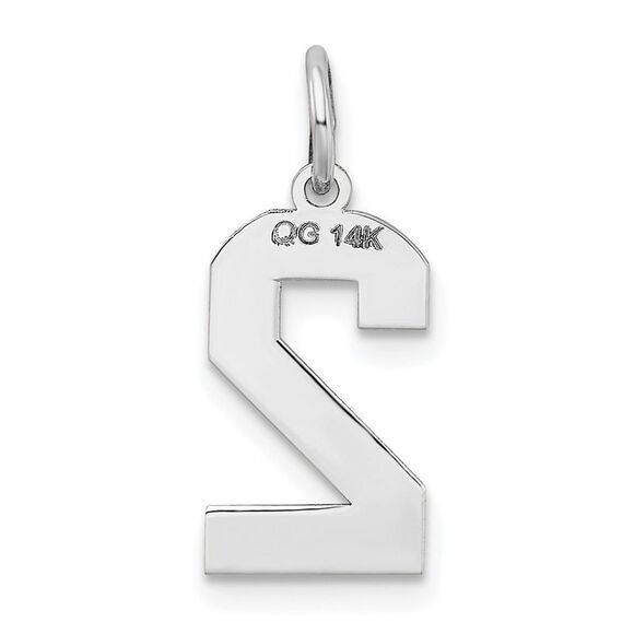 14k White Gold, Jersey Collection, Medium Number 2 Pendant - Picture 3 of 5